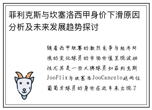 菲利克斯与坎塞洛西甲身价下滑原因分析及未来发展趋势探讨