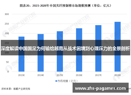 深度解读中国国足为何输给越南从战术困境到心理压力的全景剖析