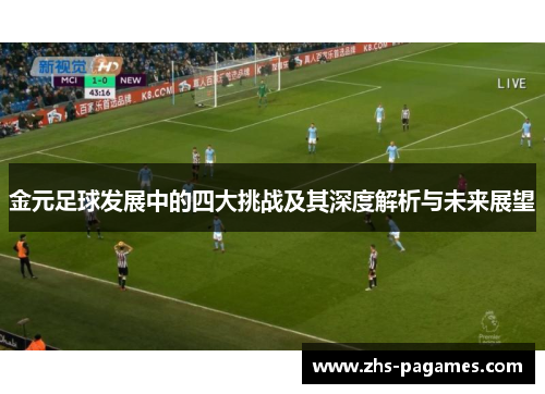 金元足球发展中的四大挑战及其深度解析与未来展望